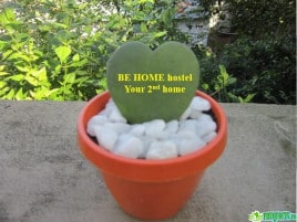 3 lý do các nhóm du khách trẻ thường lựa chọn khách sạn Be Home Phú Quốc